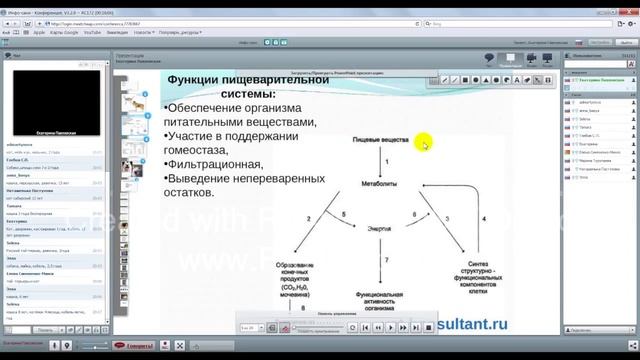 Как правильно кормить собаку. Как правильно кормить кота.1 смотреть онлайн