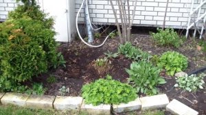 Схема цветника! Основные принципы посадки цветов в миксбордере!