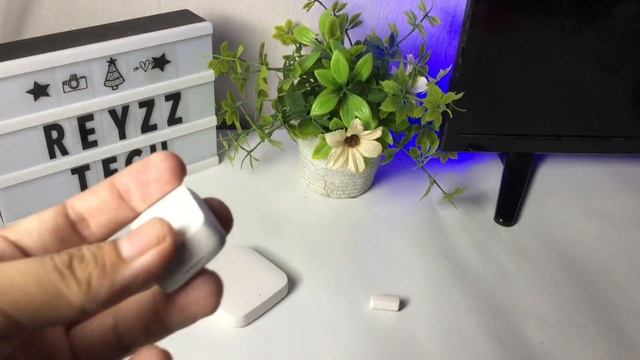 Tuya Zigbee Door and Window Sensor (ZXZDS-02) | Reyzz Tech смотреть онлайн