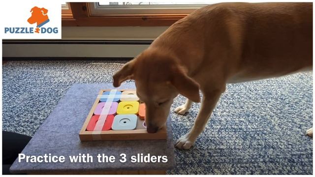 #PuzzlePuck - Sudoku - My Intelligent Pets смотреть онлайн