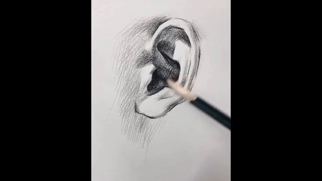 You can use this technique to Draw an Ear смотреть онлайн