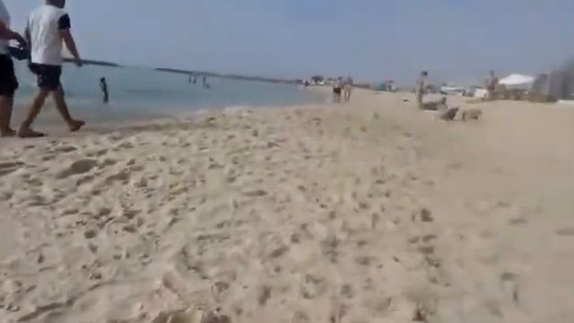 Сегодня в Израиле никто не работает! Почему? смотреть онлайн