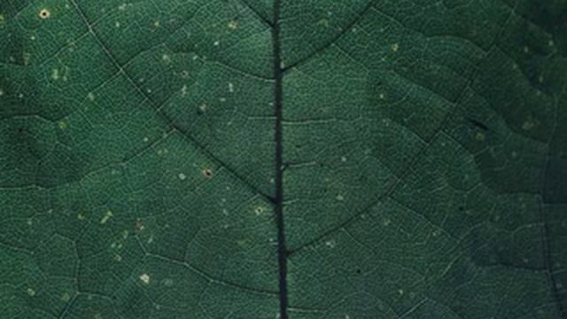 карта совесть номер телефон смотреть онлайн