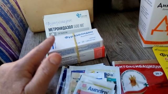 Обработка бругмансий и комнатных растений перед зимовкой. смотреть онлайн