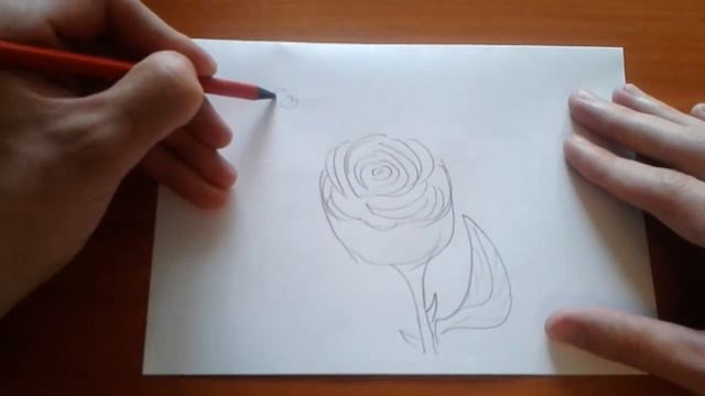Как нарисовать РОЗУ карандашом поэтапно для начинающих (How to draw a Rose)? смотреть онлайн