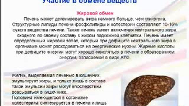 Гепаклинз мощный гепатопротектор смотреть онлайн