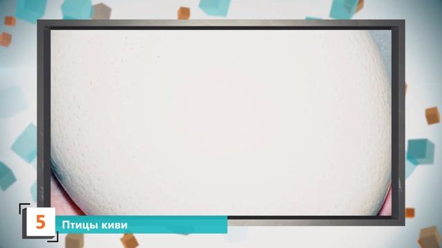 Интересные факты о СТЕКЛЕ, ПЛАТОНЕ, ПТИЦАХ КИВИ, КАПЛЯХ ДОЖДЯ, РТУТИ... – Это Так смотреть онлайн