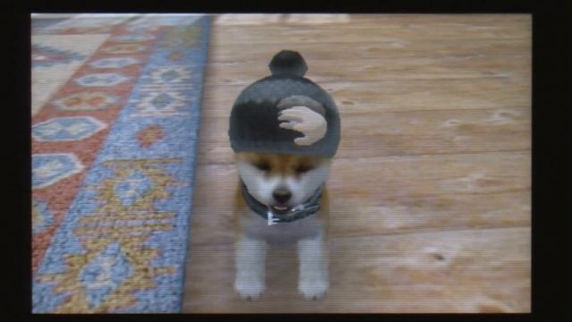 CGRundertow - NINTENDOGS + CATS for Nintendo 3DS Video Game Review смотреть онлайн