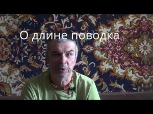 О длине поводка для донки