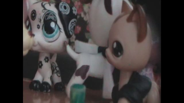 LPS NormaLife #1 смотреть онлайн