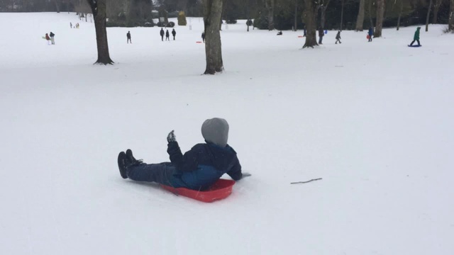 Reid Park Forfar Sledging смотреть онлайн