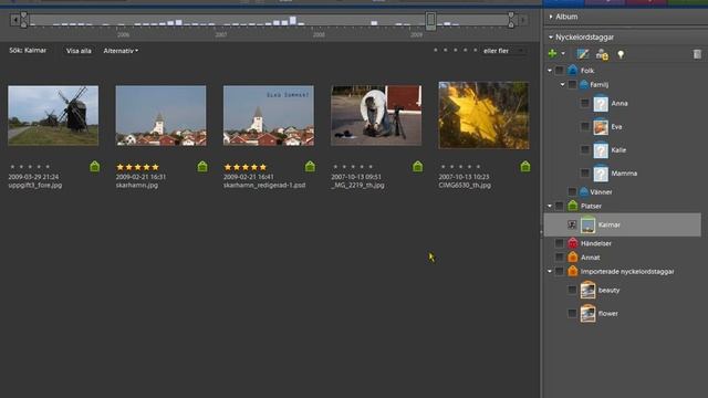 Photoshop Elements 7 - taggar/etiketter sparade i bildfilen смотреть онлайн