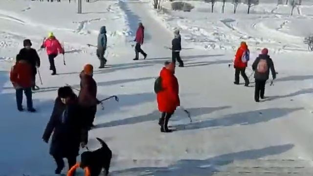Активные элементы разминки на морозе. Скандинавская ходьба. Клуб "КАЙФ!", г. Новокузнецк смотреть онлайн
