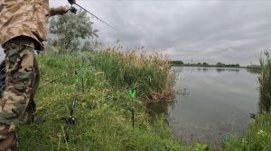 Отличная рыбалка на бесплатном водоеме в Крыму! Плотва, окунь, карась.