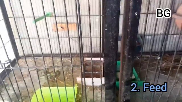 Java information in Urdu/Hindi. смотреть онлайн