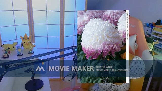 Anime Flower meanings HANAKOTOBA / Japanese Flower Language смотреть онлайн