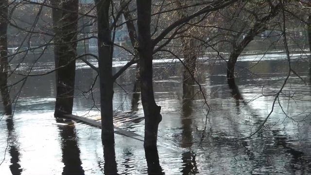 Flood in Gomel April 2023 - Паводок Гомель апрель 2023. смотреть онлайн