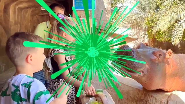 Оливер и Папа кормят Животных на ферме