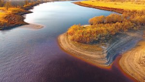 город Тавда, Тавдинский городской округ