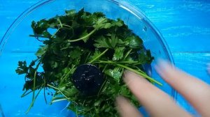 Как приготовить сок петрушки