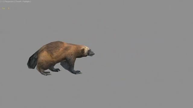 Evolution: Indian Hunter - Wolverine Attack | Scorpius Forge смотреть онлайн