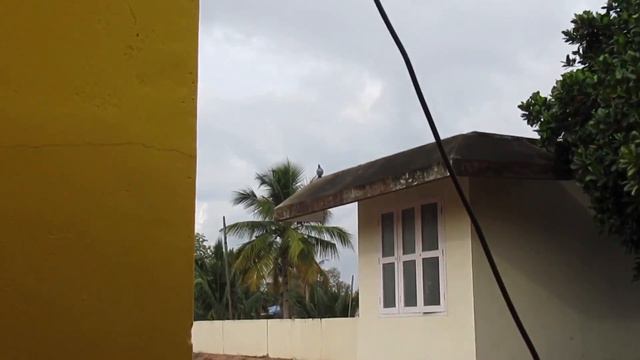 Canon SX620 HS zoom test by Geekyiyer. смотреть онлайн