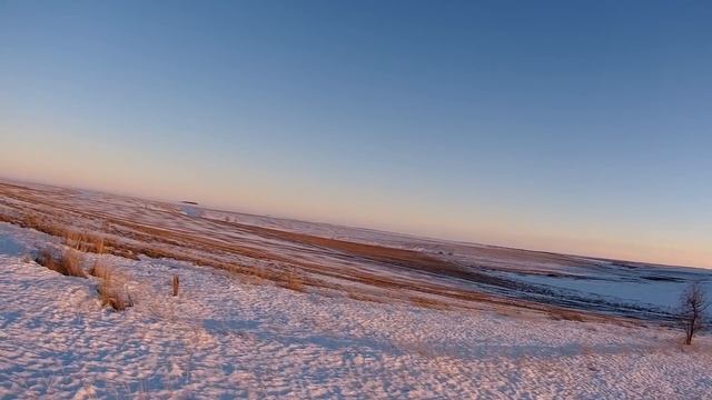 Нападение Стаи Бродячих,Лиса на манок и Солнечный Зайчик.Что видел старый заяц,но не скажет никому! смотреть онлайн