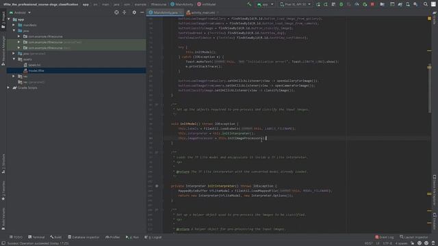 TF Lite - The Professional Course. Week 1, lesson 8: Model embedding into Android смотреть онлайн