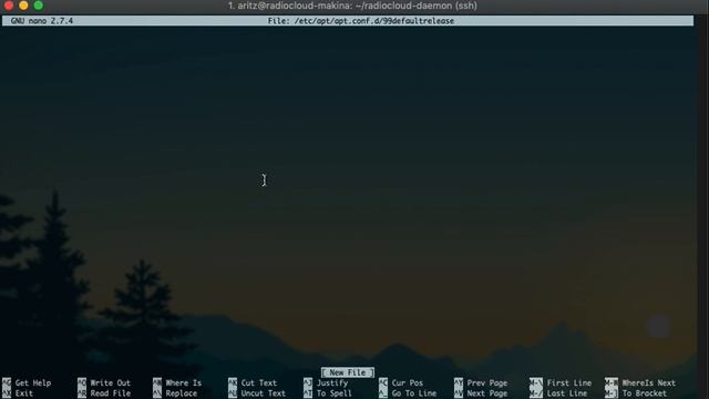 RadioCloud: Radiocore-daemon instalazioa (Debian 9) смотреть онлайн