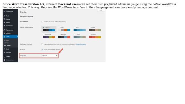 Wordpress: Different Language for Frontend vs Backend (6 Solutions!!) смотреть онлайн