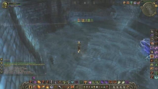 Highest WOTLK Crit on Warmane 3.3.5 смотреть онлайн