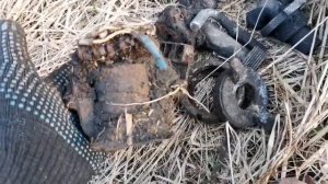 Первые хорошие находки с Garrett Ace 400i.