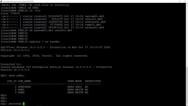 Backup and recover CDB using Rman смотреть онлайн