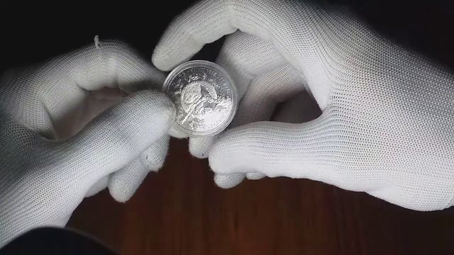 100 Тенге Соболь Казахстан/100 tenge Sable Kazakhstan смотреть онлайн