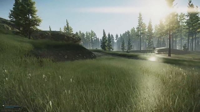New Weight, Stamina, Endurance and Strength - Escape from Tarkov смотреть онлайн