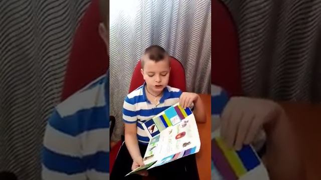 Лепбук "Ланцюги живлення" смотреть онлайн