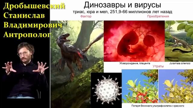 ? Дробышевский Ст. Кошки - Мышки: кто нас создал, и во что нам это обошлось? Video ReMastered. смотреть онлайн
