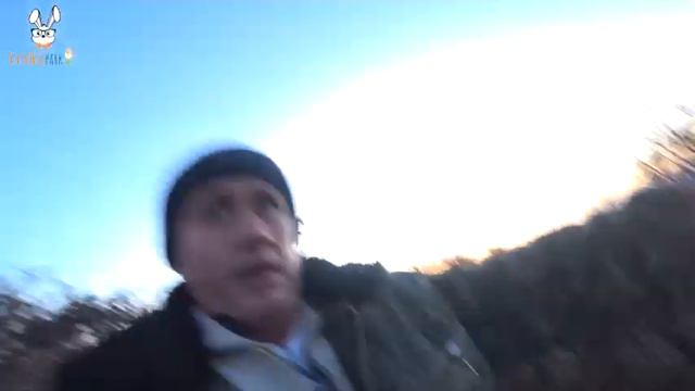 Ролик опаздун) Кто приносит больше пополнения в кроликопарке и кто хочет украсть кроликов ночью... смотреть онлайн