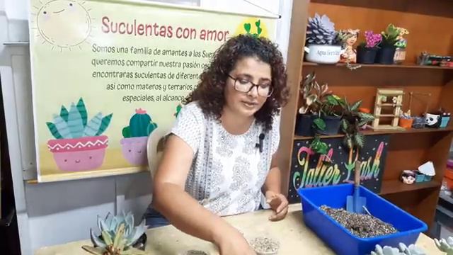 como preparar el mejor sustrato para cactus y suculentas - suculentas con amor смотреть онлайн