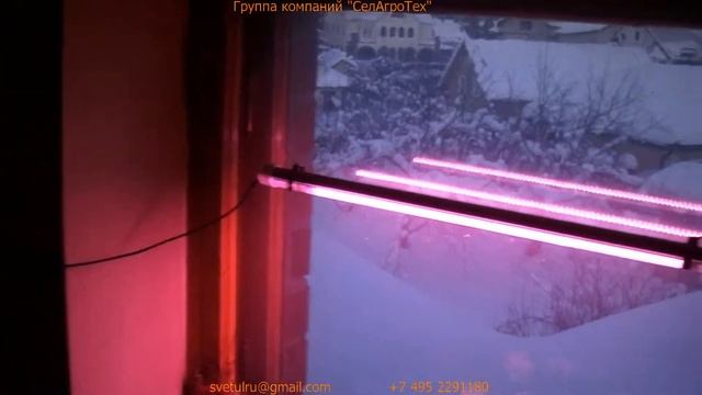 Фитосветильник-трубка торговой марки СВЕТУЛ смотреть онлайн