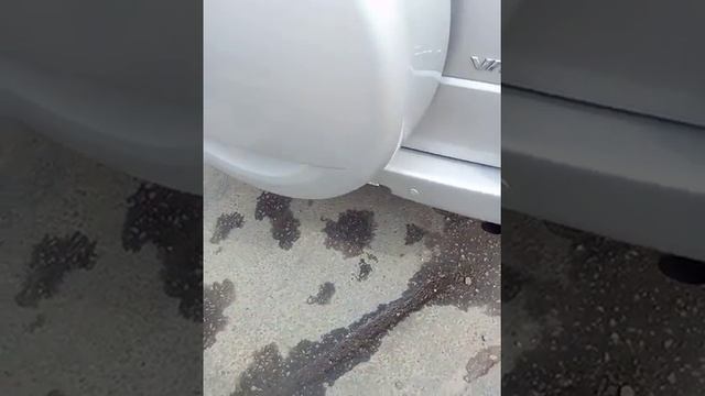 Работа движка 3.2 без катализаторов