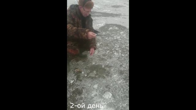 Зимняя рыбалка. Рыбинское водохранилище. Река Сёбла 14-15 декабря 2019 год. смотреть онлайн
