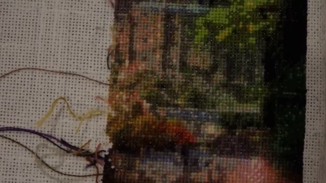 СП Хаед. Отчет 8 (за май-июль 2016г) смотреть онлайн