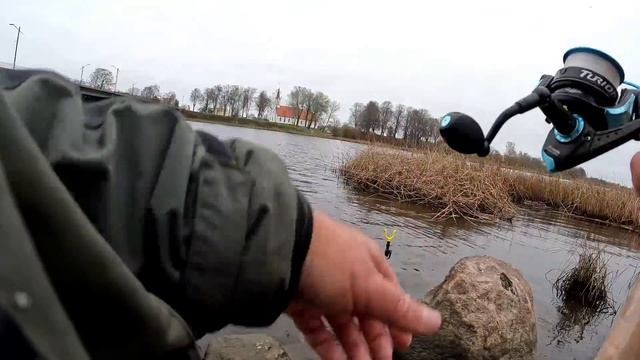 200тый отчёт и королевский клёв плотвы, да с поплавоком, да на болоночку....., Но 200 смотреть онлайн