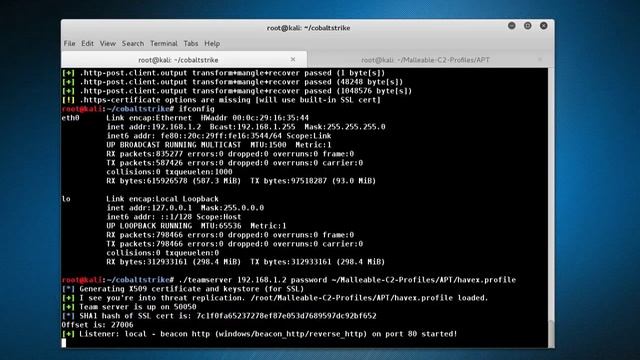 Malleable Command and Control Demo смотреть онлайн