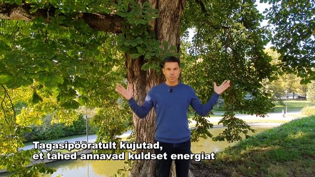 упражнение "Дерево" смотреть онлайн