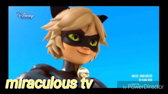 Chat noir - shape of you смотреть онлайн