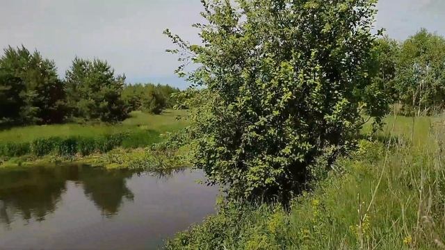 КАК СДЕЛАТЬ ПЛОТ из бутылок и соседского забора смотреть онлайн