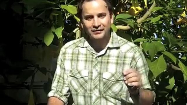 BRETT GAJDA.com | Go G.I.T. It! смотреть онлайн