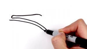 Best Whale Awards | Learn Amazing Facts about Whales!